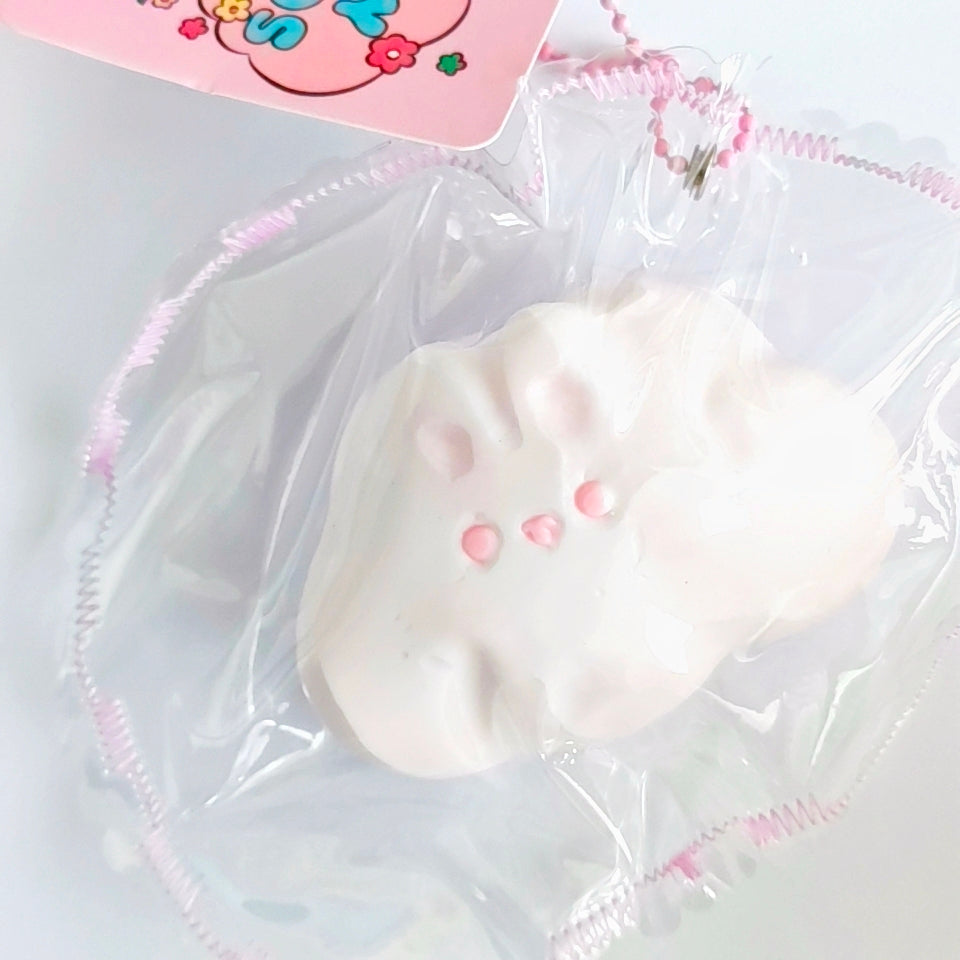 #W0046   Rabbit Cloud